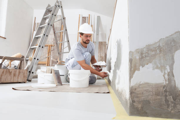 Best Comprehensive Air Testing for Mold Contaminants  in Forrest City, AR
