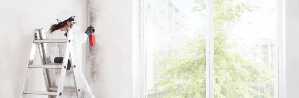Best Asbestos and Lead Testing During Mold Inspection  in Forrest City, AR