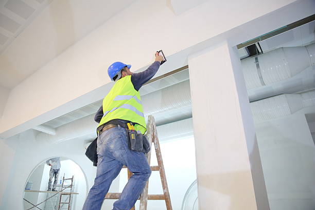 Best Basement Mold Removal  in Forrest City, AR