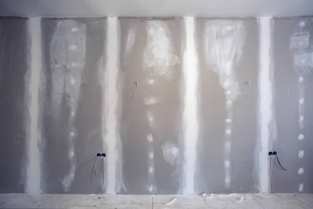 Best Mold Documentation for Insurance Claims  in Forrest City, AR